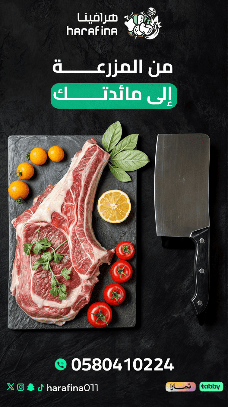 نموذج من أعمالنا 2