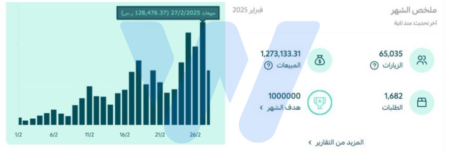 أفضل شركة تسويق رقمي لمتاجر سلة في السعودية