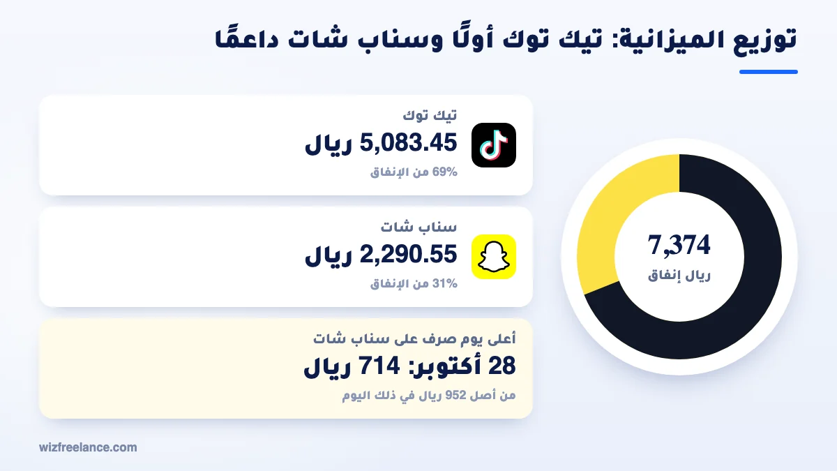 توزيع ميزانية إعلانات متجر التمور: 69% تيك توك و31% سناب شات