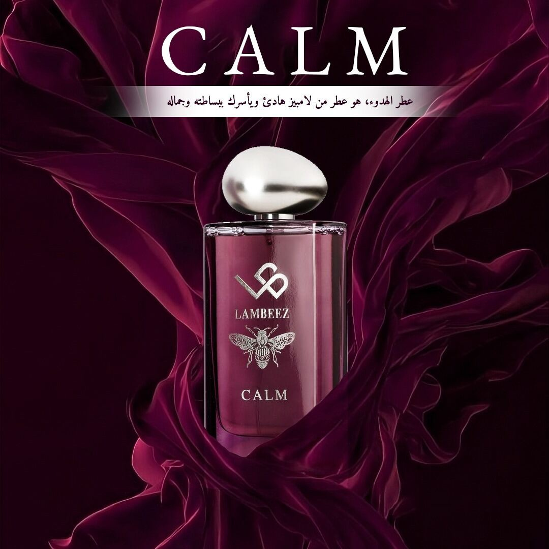 إدارة سوشيال ميديا LAMBIZ - تصميم 3