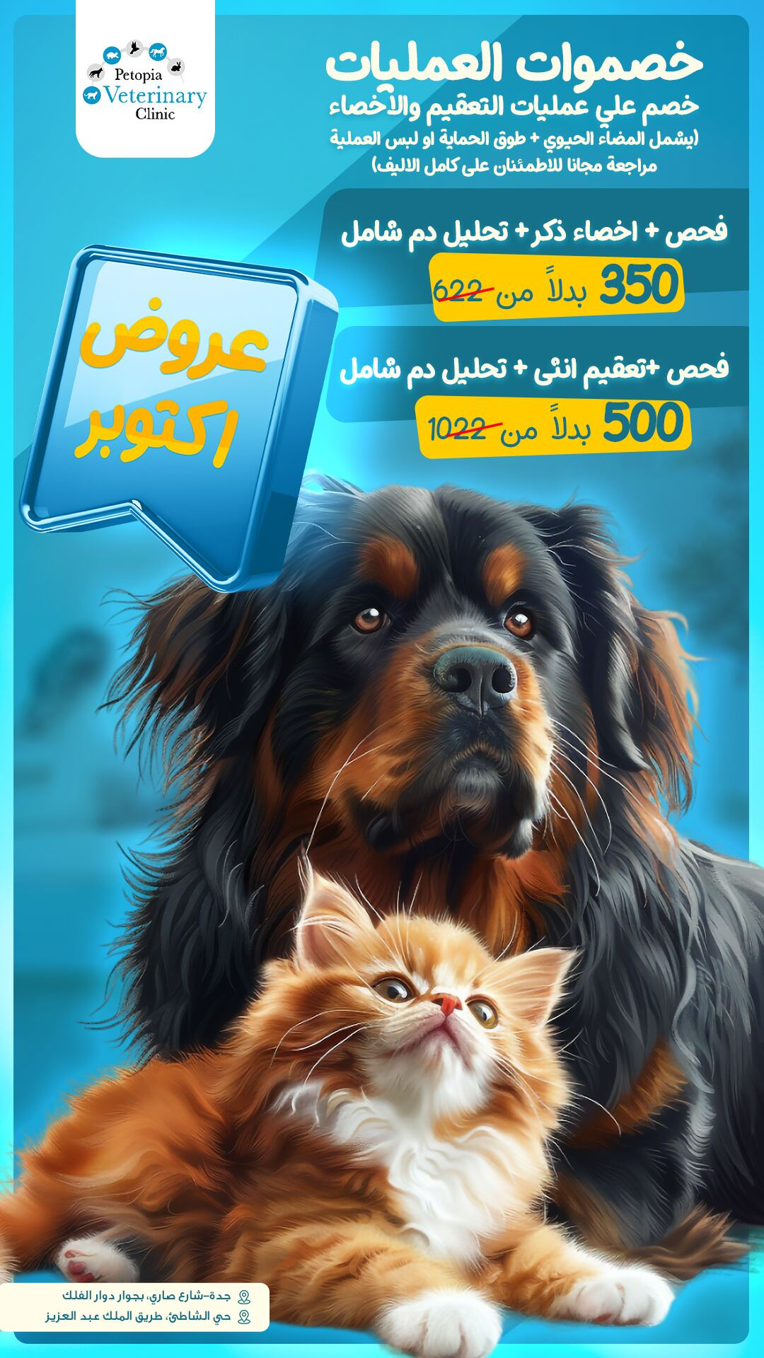 تصاميم احترافية لعيادة Petopia البيطرية - تصميم 6